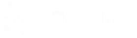 Perfion Logo White