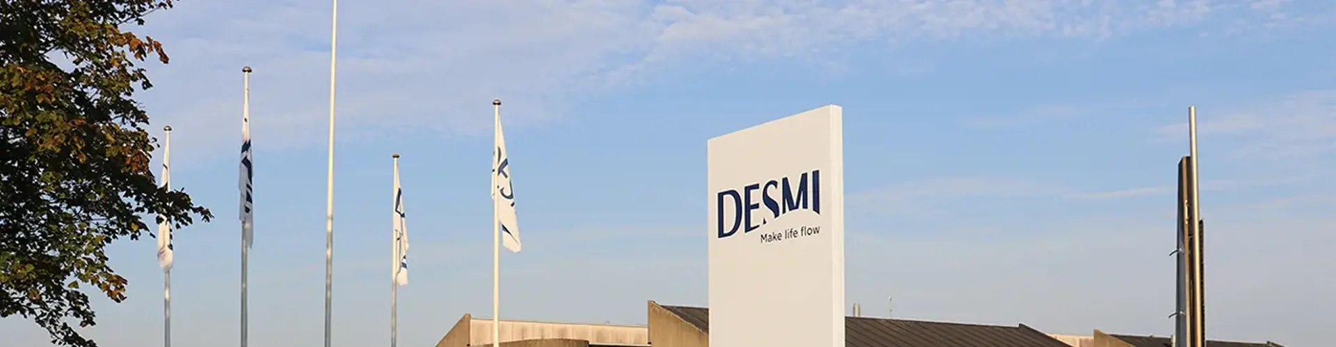 Desmi Header Desmi Header