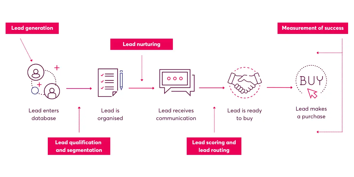 Novicell's infographic showing the lead generation process from lead entering database to making a purchase