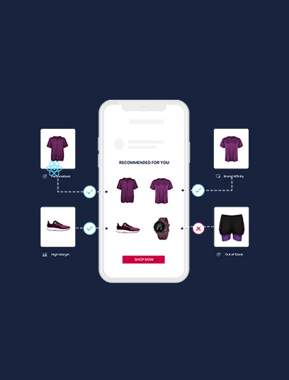 Raptor - Create powerful personalized customer experiences - Novicell
