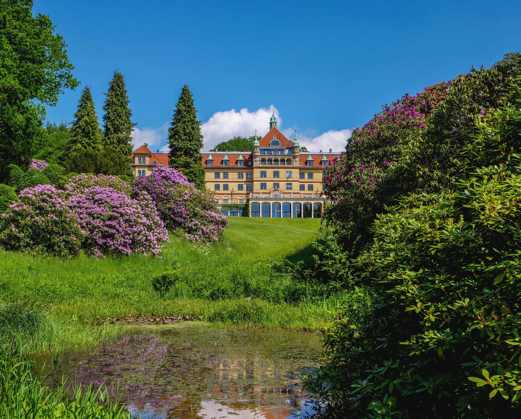 Hotel Vejlefjord Fra Søen Sommer Rododendron Novicell