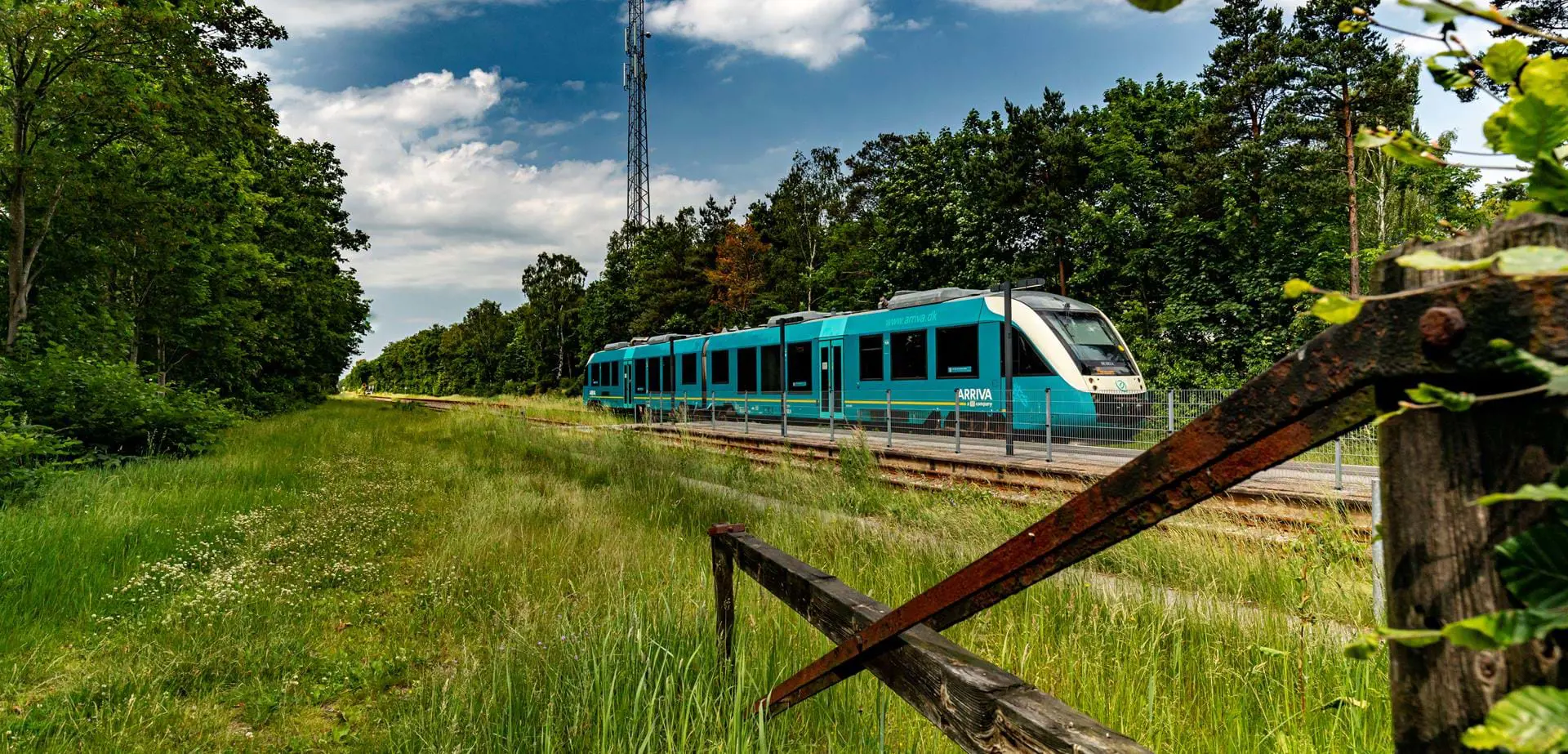 a field with a train passing through 