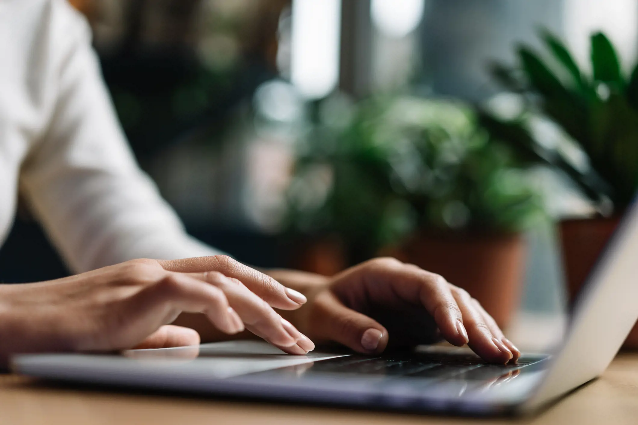 Close-up view of hands typing on a laptop keyboard with a plant in the background.